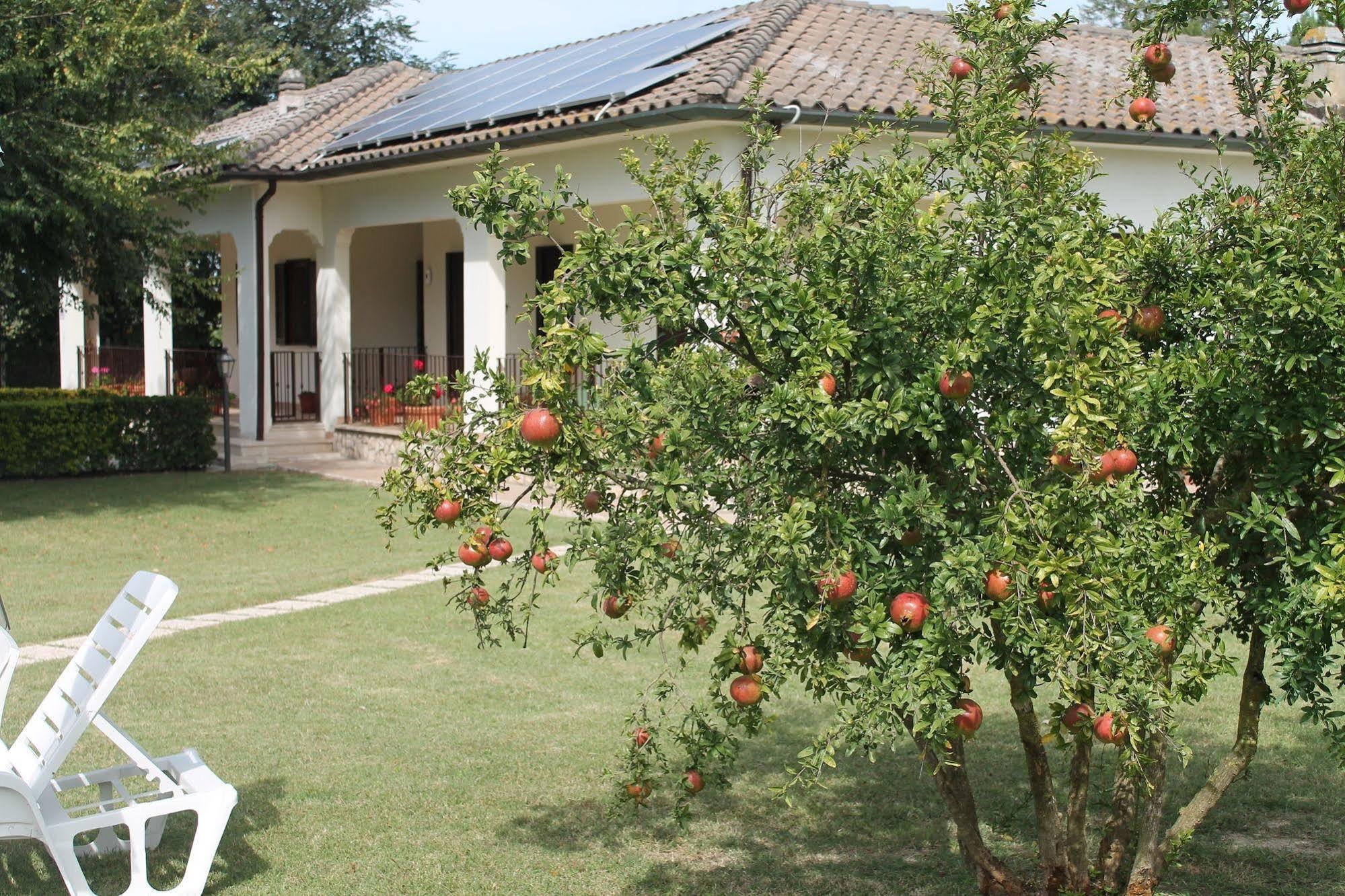 Relais La Mimosa Hotel Pontinia Exterior photo